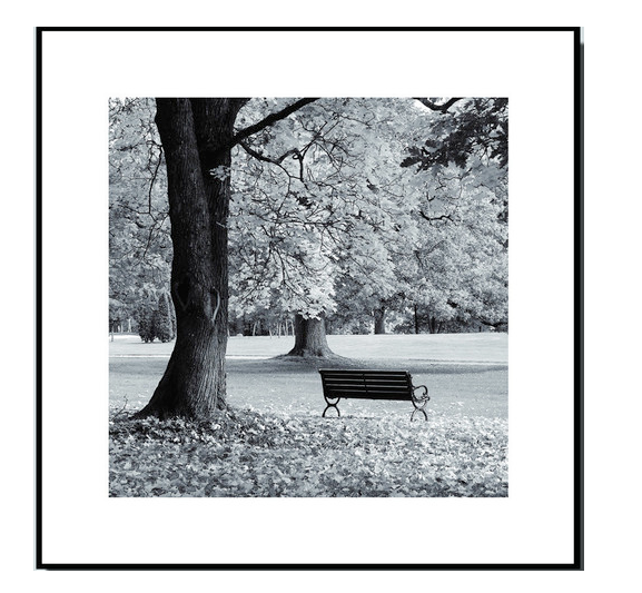 Park Bench #1: Framed Black and White Photography Print