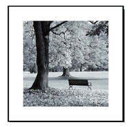 Park Bench #1: Framed Black and White Photography Print