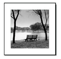 Park Bench at the Lake: Framed Photography Print