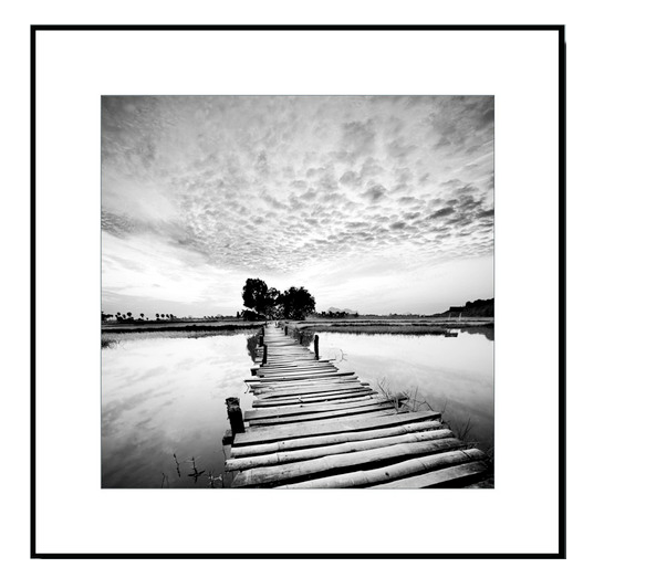 Framed Black and White Nature Photography