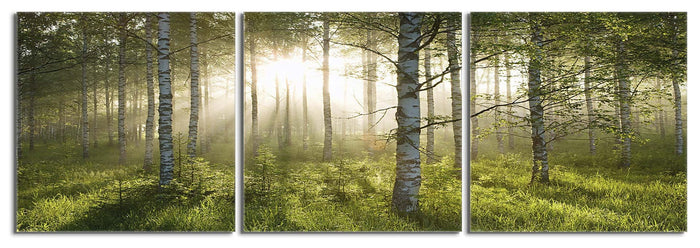 Enchanted Forest