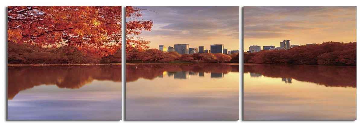 Central Park Reflection