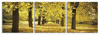 Autumn Leaves
