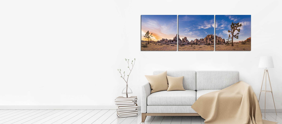 Desert Dreaming Joshua Tree