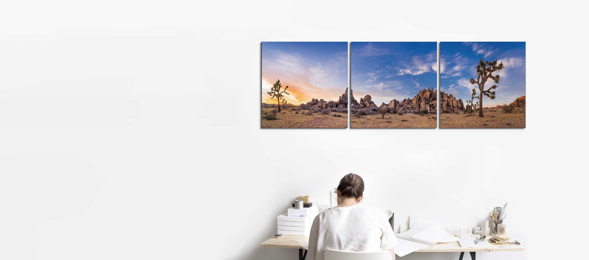 Desert Dreaming Joshua Tree