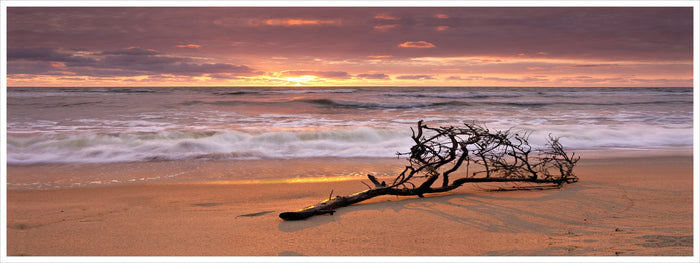 What the Tide Brought In - Photography Print on Canvas - Canvas Panoramic Wall Art