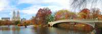 Central Park in Fall - Photography Print on Canvas - Canvas Panoramic Wall Art