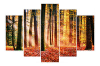 Autumn Sunlight (HD Canvas 5-Panel)