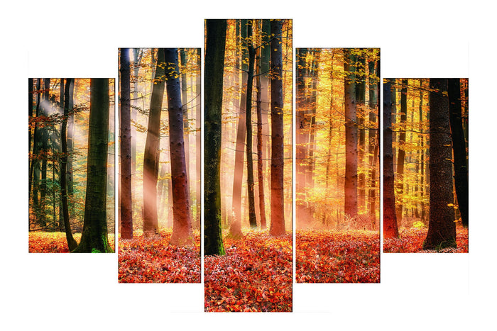 Autumn Sunlight (HD Canvas 5-Panel)