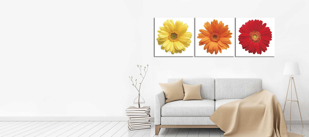 Daisies