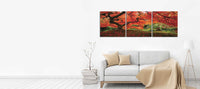 Japanese Maple