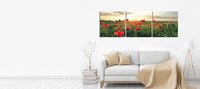Red Poppies
