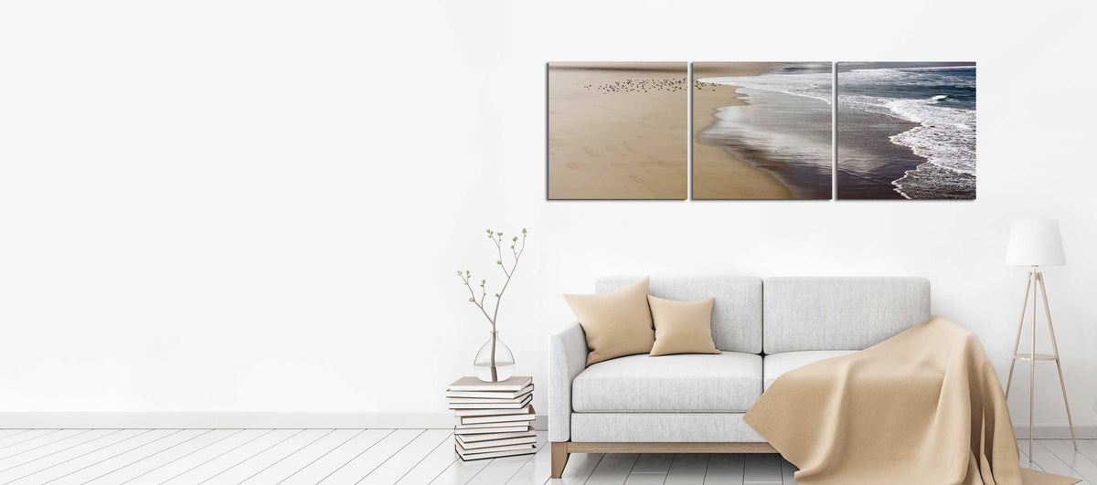 Ocean Foam and Birds