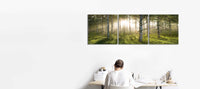 Enchanted Forest
