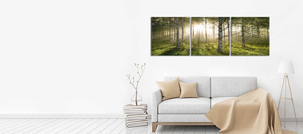 Enchanted Forest