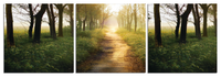 Photography Triptych Print - 3 Panel Landscape Photography