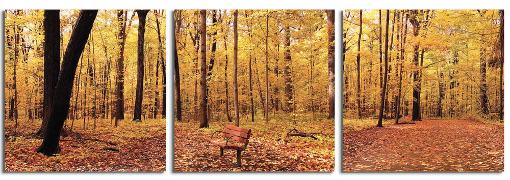 Bench in the Park