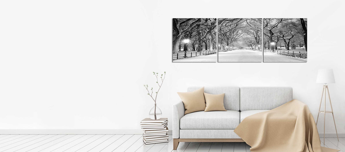 Central Park (Winter)