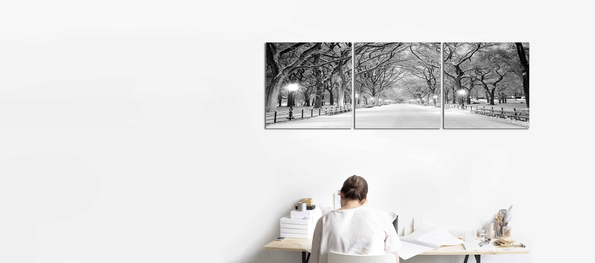 Central Park (Winter)