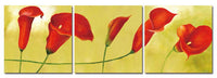 Tulips - Photography Triptych Print - 3 Panel Landscape Photography