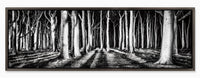 Black and White Forest