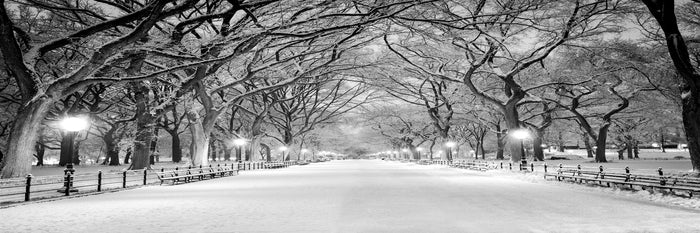 Central Park Path