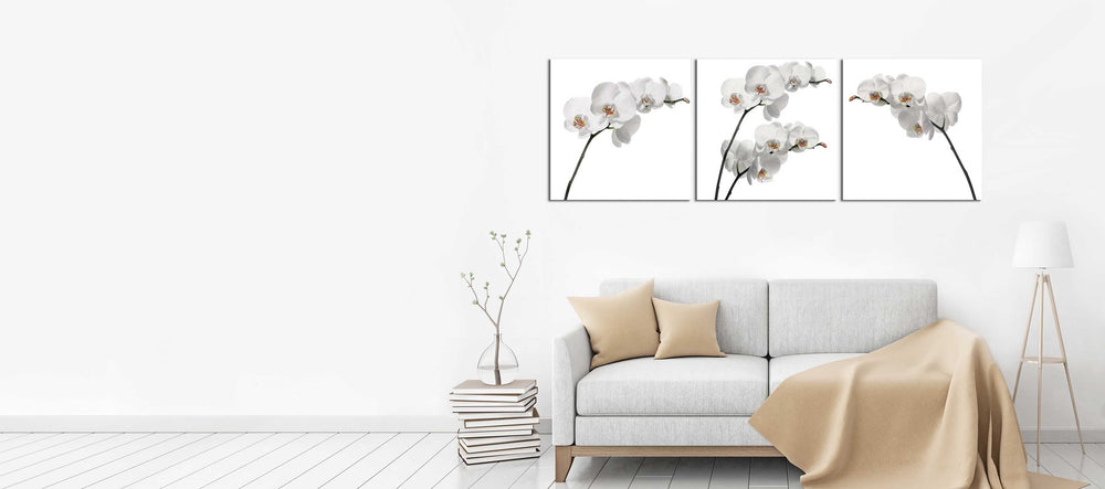 White Orchids