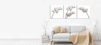 White Orchids