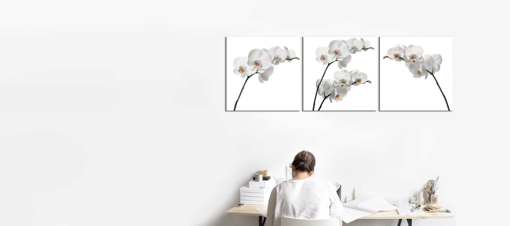 White Orchids