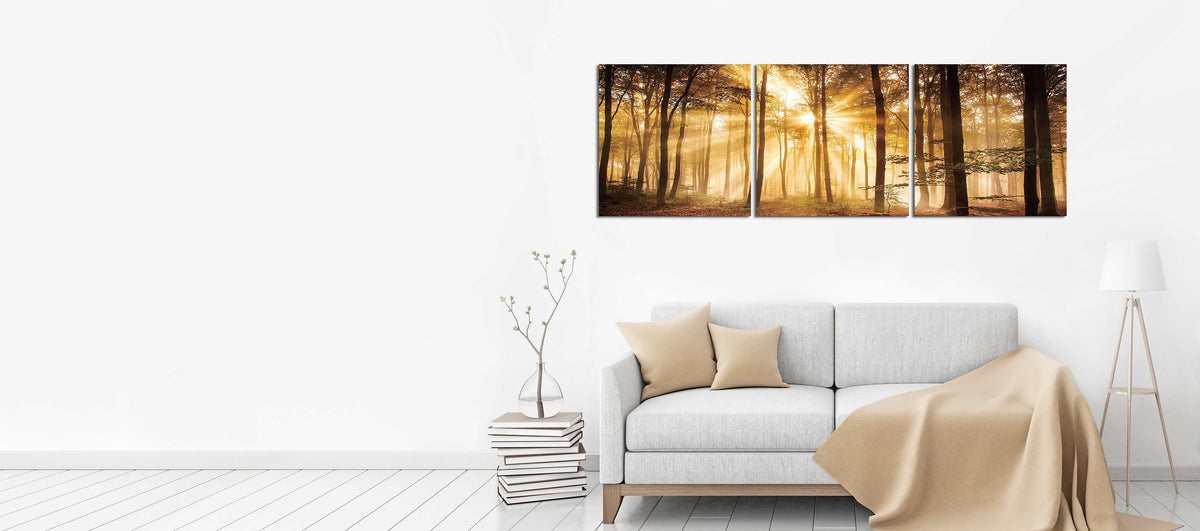 Sunrise Autumn Trees