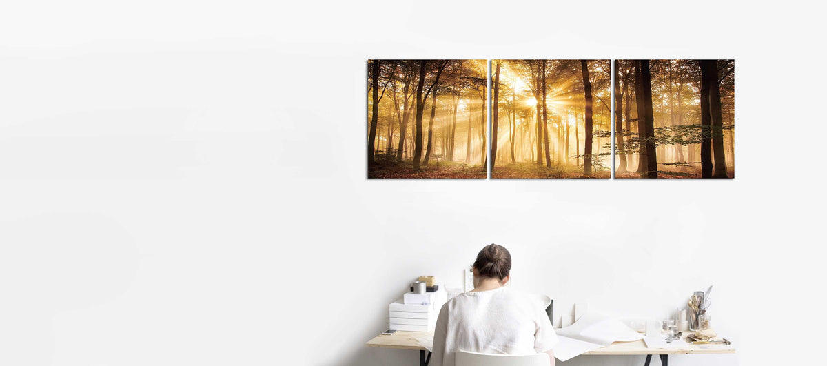 Sunrise Autumn Trees