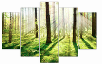 Sunlight Reflection - 5 Panel Canvas Print - 5 Panel Canvas Wall Art