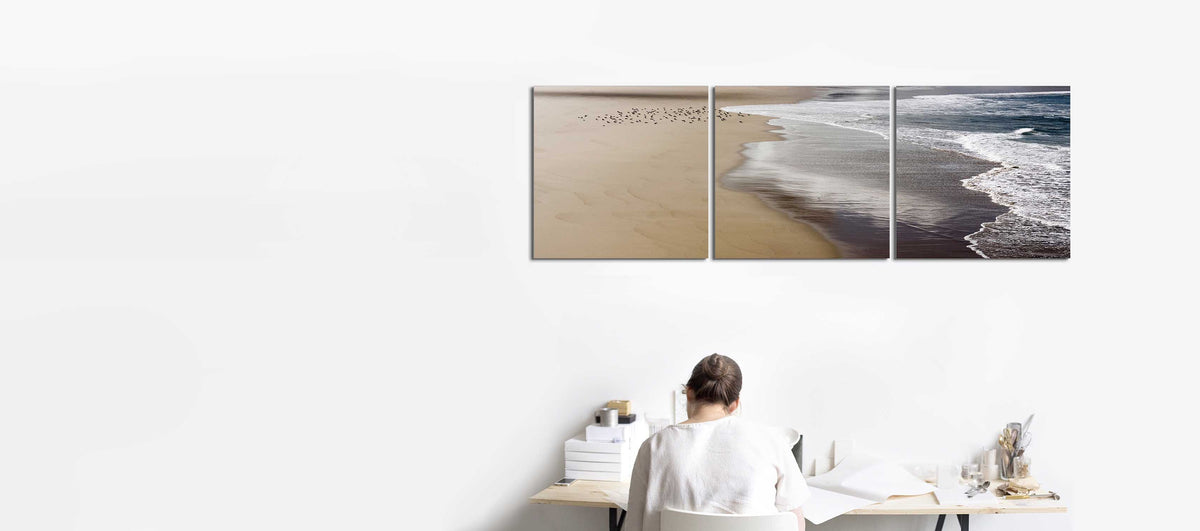 Ocean Foam and Birds