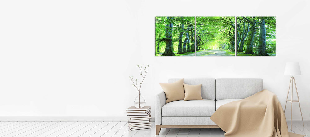 Sunlight Forest