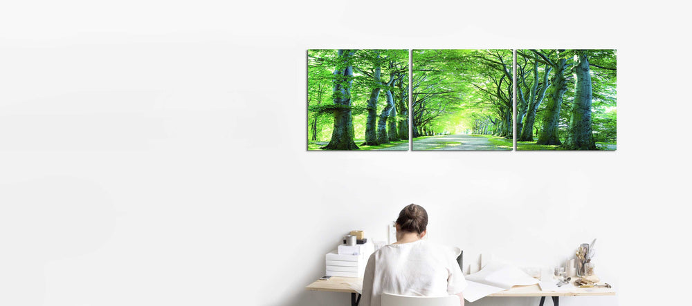 Sunlight Forest