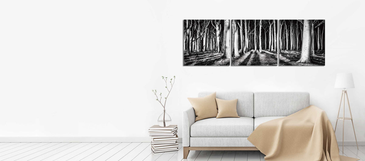 Black and White Forest