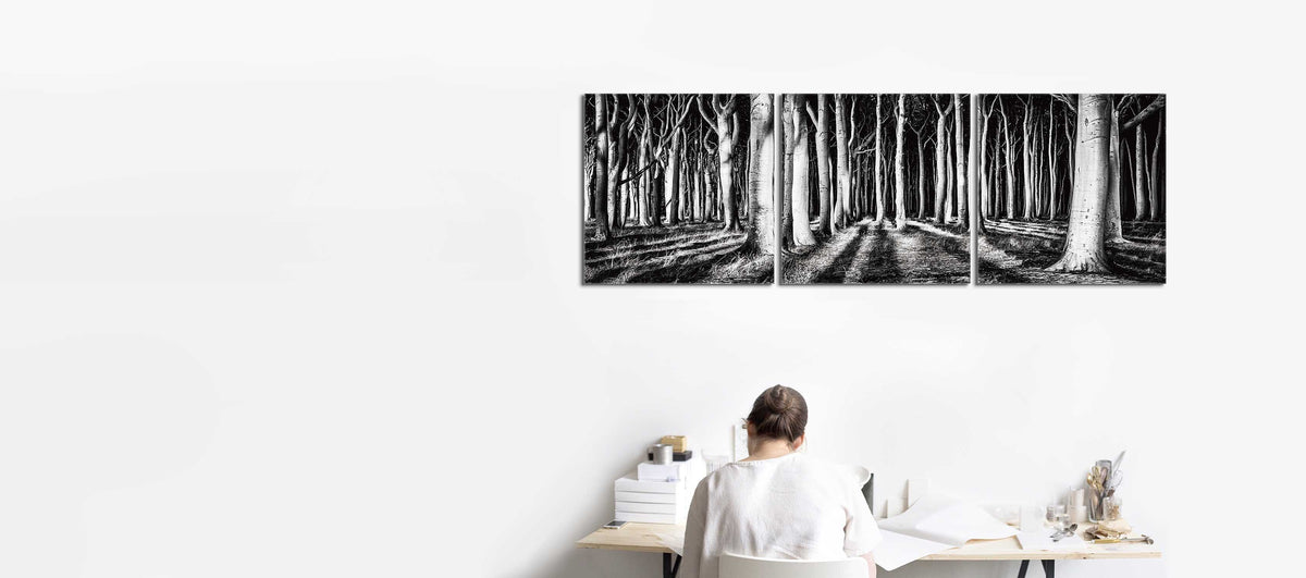 Black and White Forest