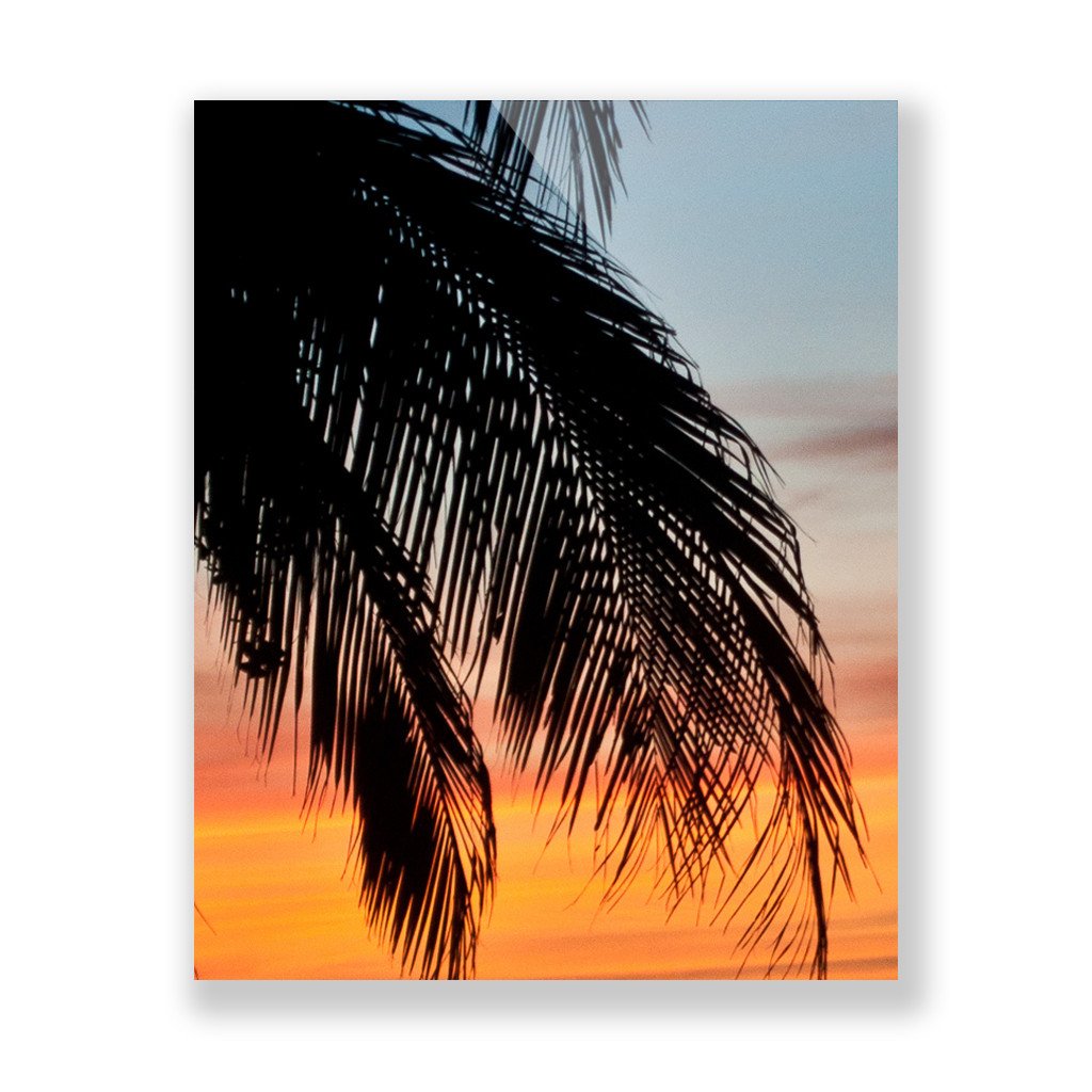 Dreaming of Paradise