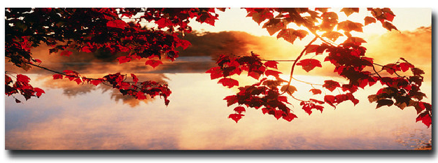 Autumn Harvest - Photography Print on Canvas - Canvas Panoramic Wall Art