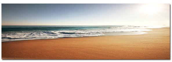 Washed Ashore - Photography Print on Canvas - Canvas Panoramic Wall Art