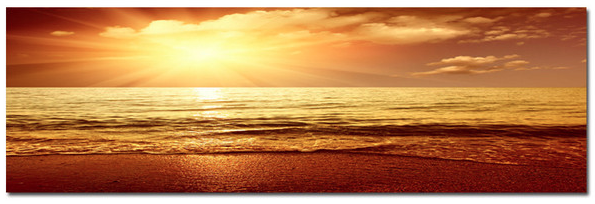 Washed Ashore - Photography Print on Canvas - Canvas Panoramic Wall Art