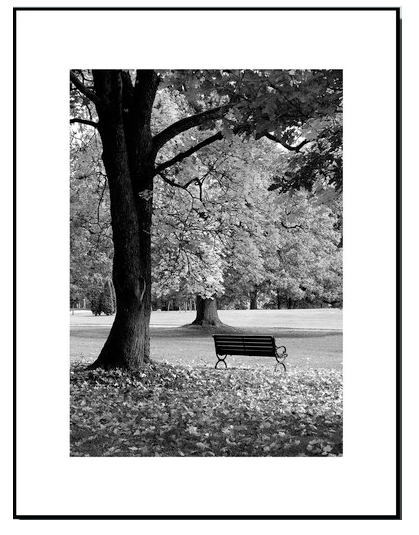 Park Bench #2: Framed Black and White Photography Print