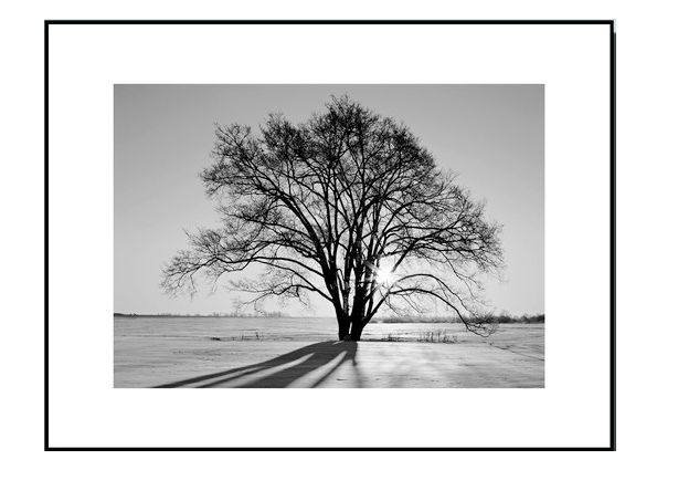 Framed Black and White Nature Photography Print