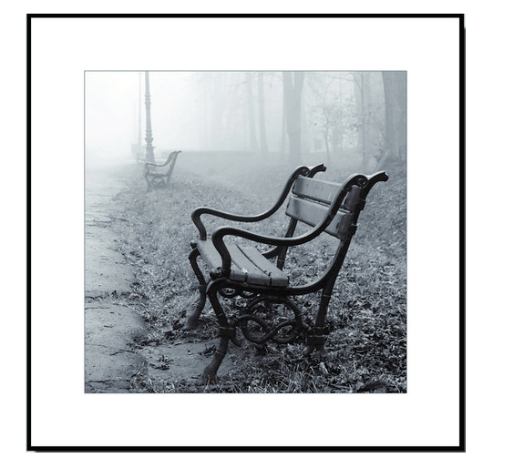 Park Bench #2: Framed Black and White Photography Print