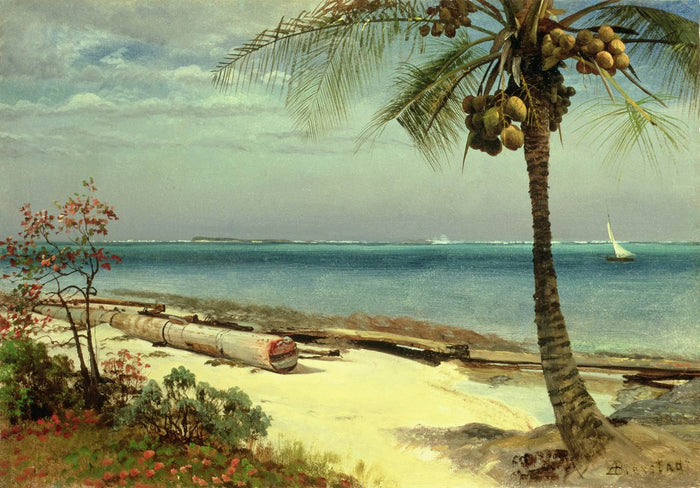 Tropical Coast Fine Art Mural- Fine Art Removable Wall Mural