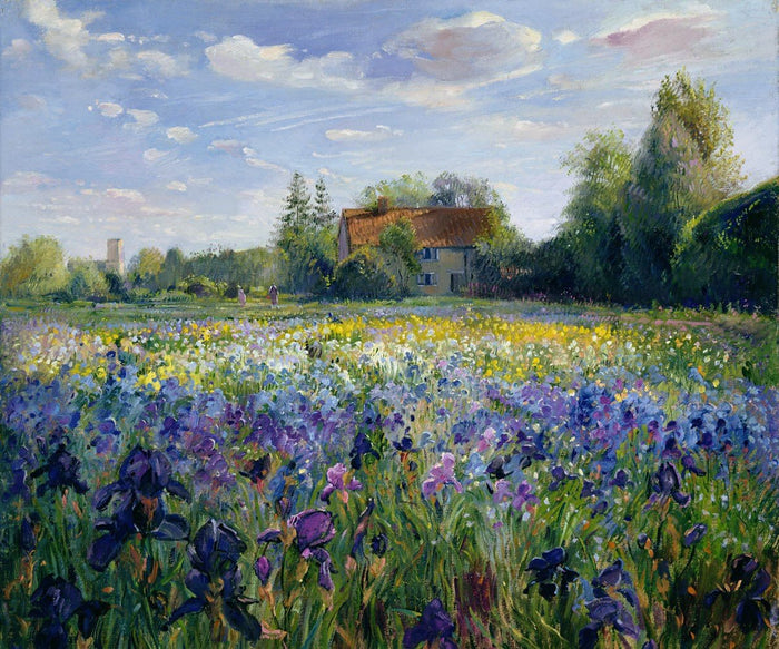 Evening at the Iris Field - Fine Art Removable  Wall Mural