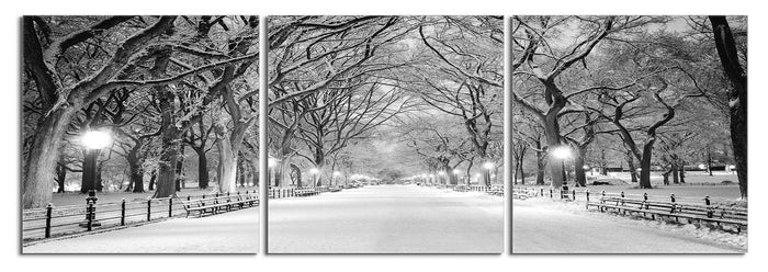 Central Park (Winter)