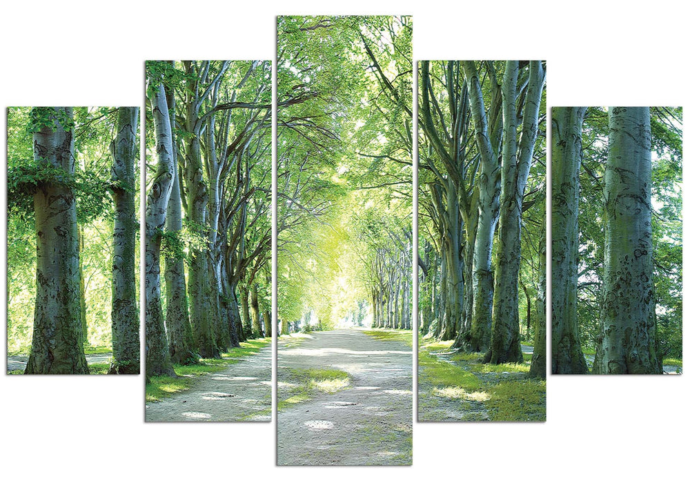 Sunlight Forest (HD Canvas 5-Panel)