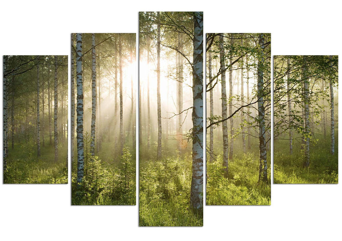 Enchanted Forest #5 (HD Canvas 5-Panel)