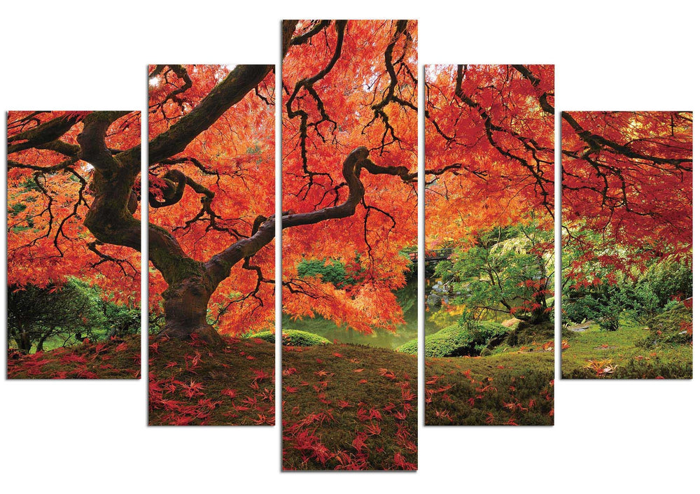 Japanese Maple #2 (HD Canvas 5-Panel)